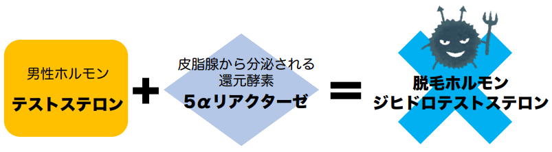 ヘアサイクルが乱れる原因